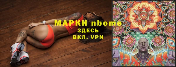гидра Володарск