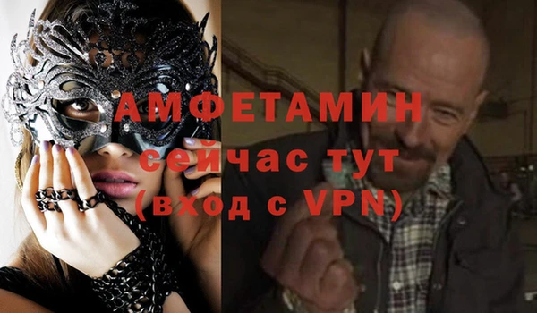 гидра Володарск